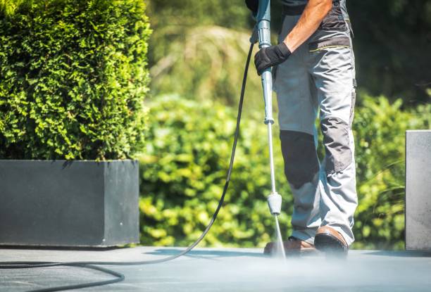 Best Solar Panel Cleaning  in Rochester, NY